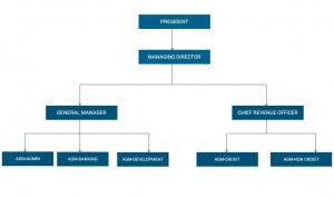 organisation-chart